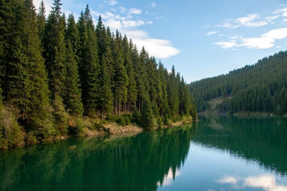 Camping Aviator, Numai Teren, Campare Pentru Rulote Autorulote Personale, Campingul Nu Are Rulote !!! Buşteni Zewnętrze zdjęcie